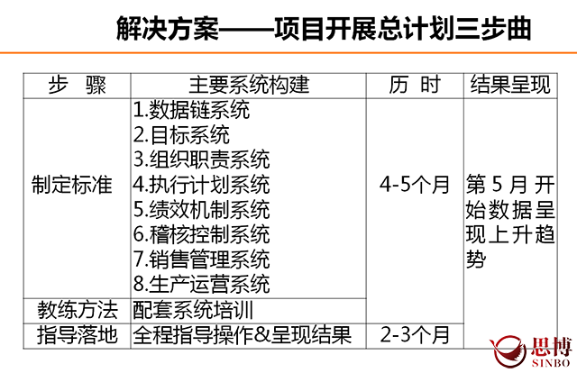 团队系统落地咨询