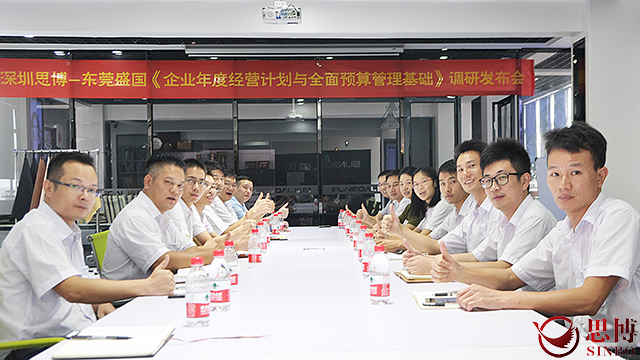 東莞盛國仿真皮革技術(shù),年度經(jīng)營計劃與全面預(yù)算管理,項目調(diào)研報告,駐廠輔導(dǎo)